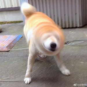 精品久久久久久蜜臂a∨
